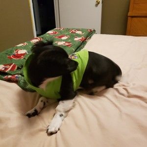 Meet your Posher, Jackie